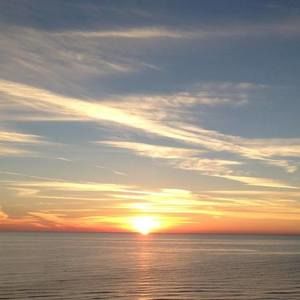 Meet your Posher, Anne